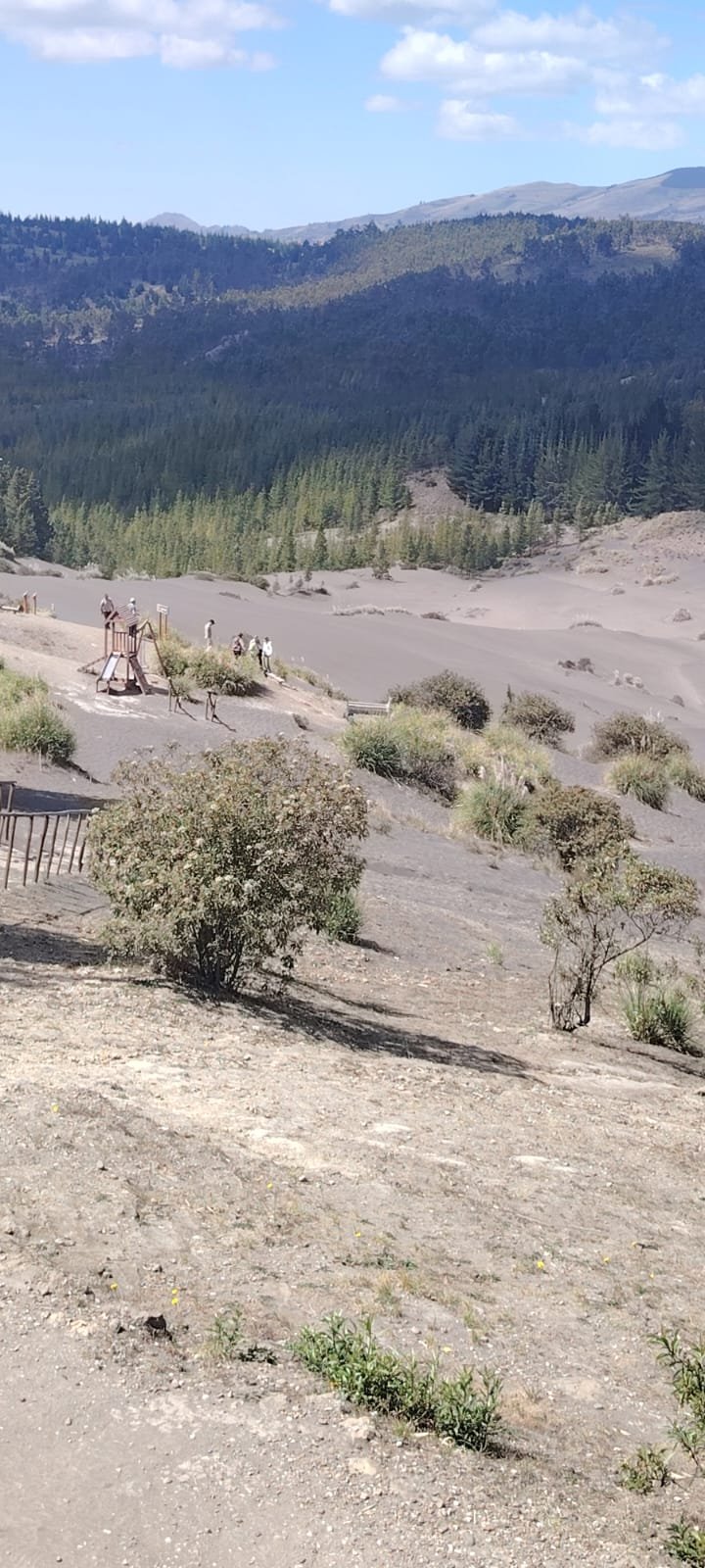 Furgoneta en Ruta